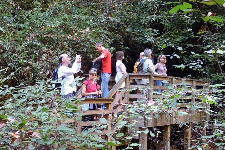 Bartram Trail Hike and Yonah Mountain Wine Tasting Day Trip from Clayton, GA photo 6