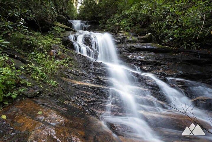 Bartram Trail Hike and Yonah Mountain Wine Tasting Day Trip from Clayton, GA