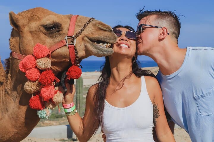Los Cabos Triple-Play: UTV Desert Ride, Camel Beach Trek & Sky Bikes photo 4