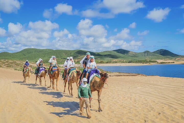 Cabo Beach Camel Ride & Encounter — Pacific Coast Camel Adventure photo 5