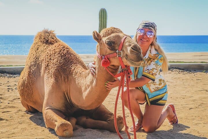 Cabo Beach Camel Ride & Encounter — Pacific Coast Camel Adventure photo 3