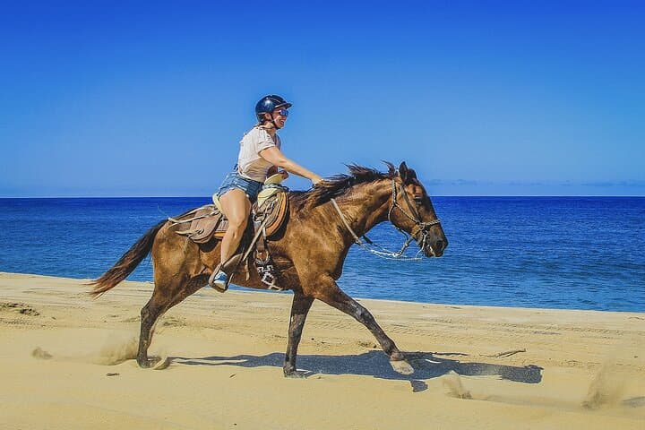 Horseback Riding Beach & Desert Trails in Cabo — Cactus Tours photo 4