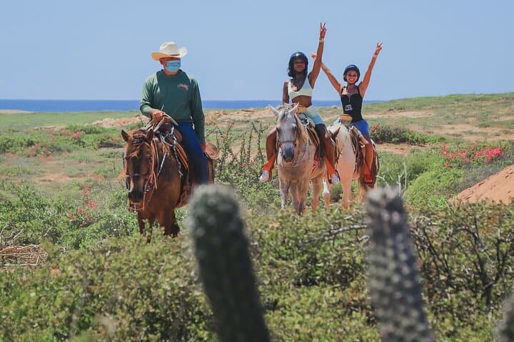Horseback Riding Beach & Desert Trails in Cabo — Cactus Tours photo 6