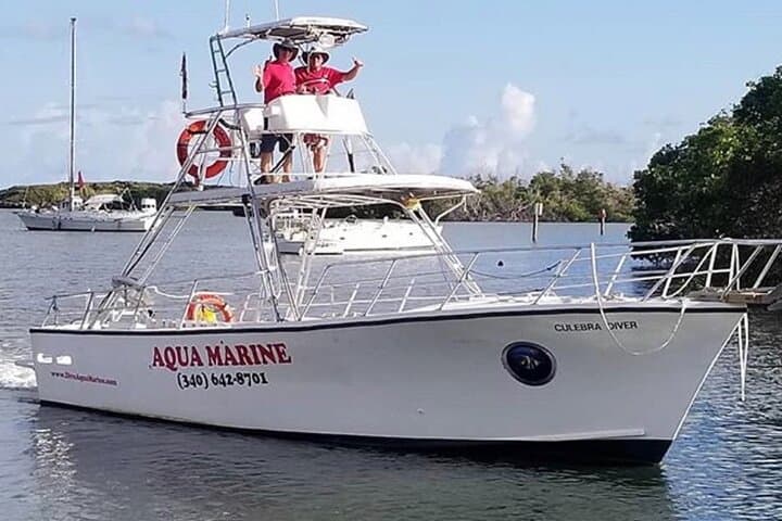 Private Half-Day Snorkeling Charter — Christmas Cove & Little St. James, St. Thomas photo 5