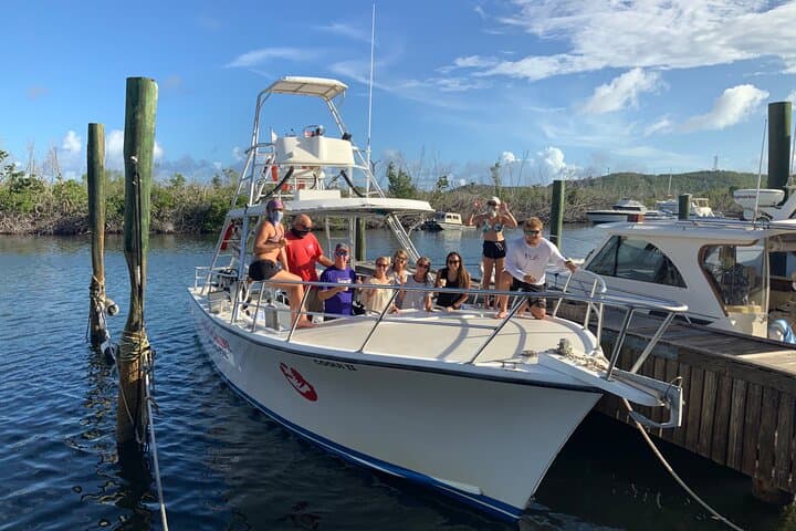 Private Half-Day Snorkeling Charter — Christmas Cove & Little St. James, St. Thomas photo 3
