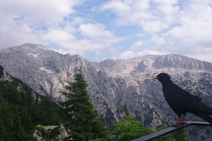 Eagle's Nest Private Tour: Kehlsteinhaus & Berchtesgaden Day Trip photo 2