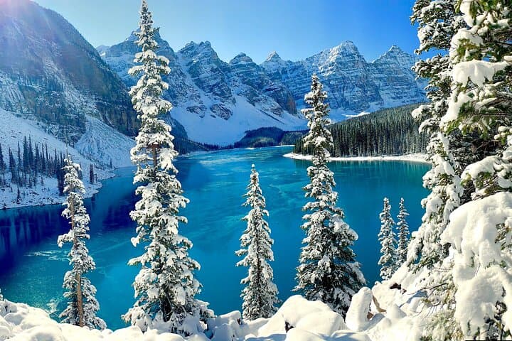 Banff to Lake Louise & Icefields Parkway: A Private Day Tour of Glacial Lakes and Lookouts photo 6