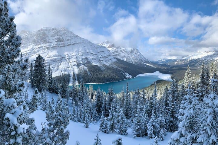 Banff to Lake Louise & Icefields Parkway: A Private Day Tour of Glacial Lakes and Lookouts