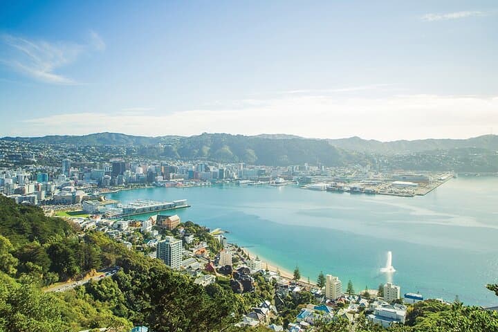 Wellington Harbour Helicopter Flight: 15-Min Scenic Aerial Tour photo 3