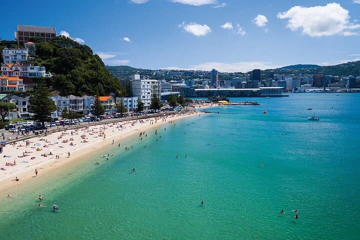 Wellington Harbour Helicopter Flight: 15-Min Scenic Aerial Tour photo 4