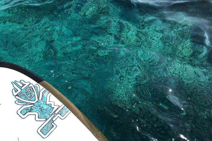 Stand-Up Paddleboard Cruising in Ishigaki's Sekisei Lagoon photo 2