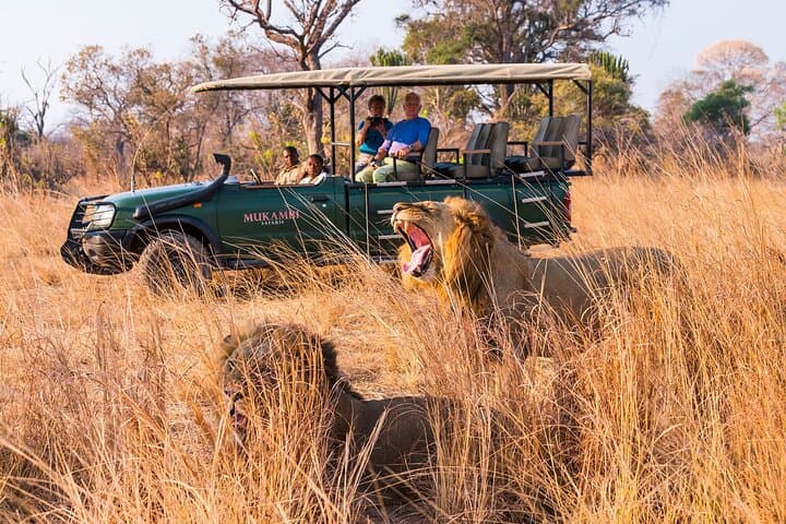 Chobe 3-Day Camping Safari: River Cruises, Dawn Game Drives & Elephant Herds photo 2