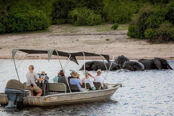 Chobe 3-Day Camping Safari: River Cruises, Dawn Game Drives & Elephant Herds photo 3