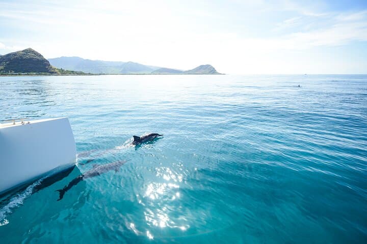 Kona Catamaran Sunset Sail: Experience Hawaii’s Pacific Coastline at Dusk photo 4