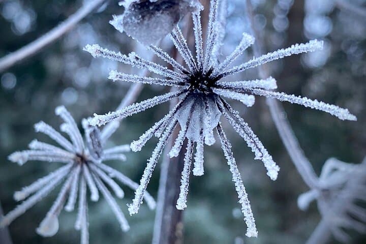 Winter Valley and Forest Hike — Eagle River Snow Walk & Barbara Falls photo 5