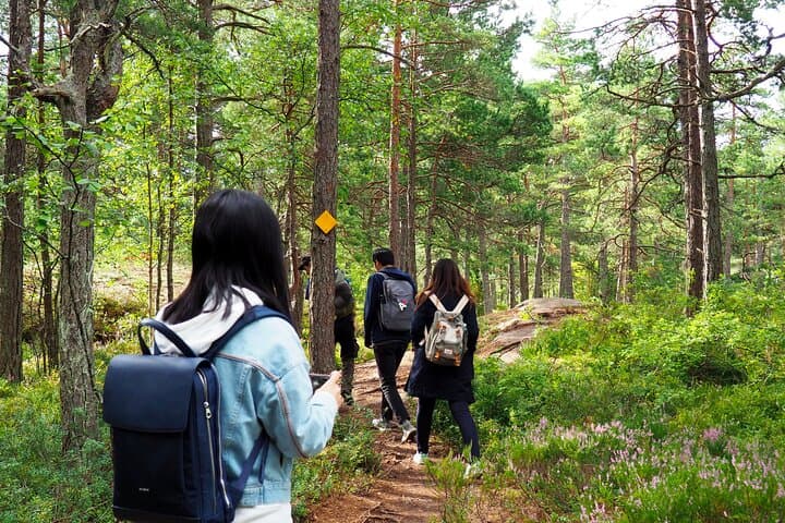 Porkkala Archipelago Excursion from Helsinki: Coastal Walk, Wildlife & Finnish Lunch photo 5
