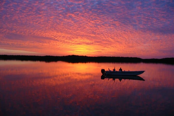 Explore Everglades National Park: Small Group Boating and Island Walk Adventure photo 4