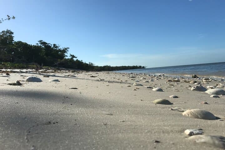 Explore Everglades National Park: Small Group Boating and Island Walk Adventure photo 6