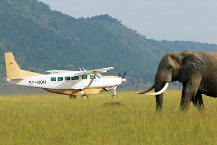 Three-Day Masai Mara Flying Safari — Big Five Game Drives from Nairobi photo 6