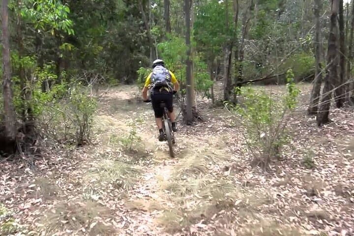 Karura Forest Day Hike and Trail Bike Tour from Nairobi photo 6