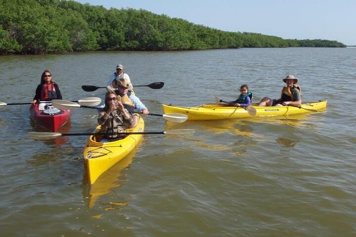Exploring the Wild Everglades: A Small-Group Boating, Kayaking, and Walking Eco Adventure photo 3