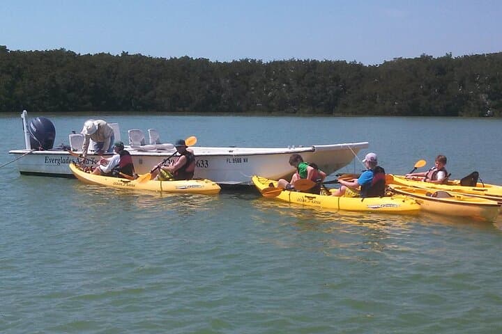 Exploring the Wild Everglades: A Small-Group Boating, Kayaking, and Walking Eco Adventure photo 2