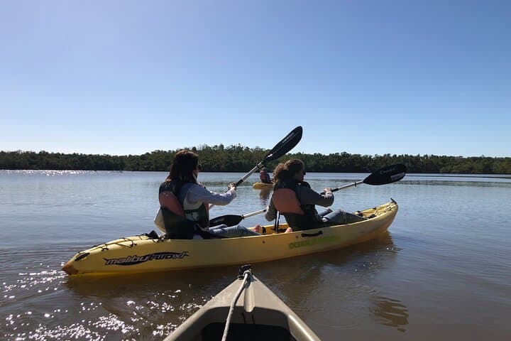 Exploring the Wild Everglades: A Small-Group Boating, Kayaking, and Walking Eco Adventure photo 5