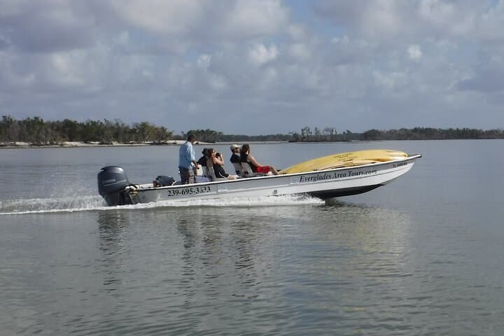 Exploring the Wild Everglades: A Small-Group Boating, Kayaking, and Walking Eco Adventure photo 6