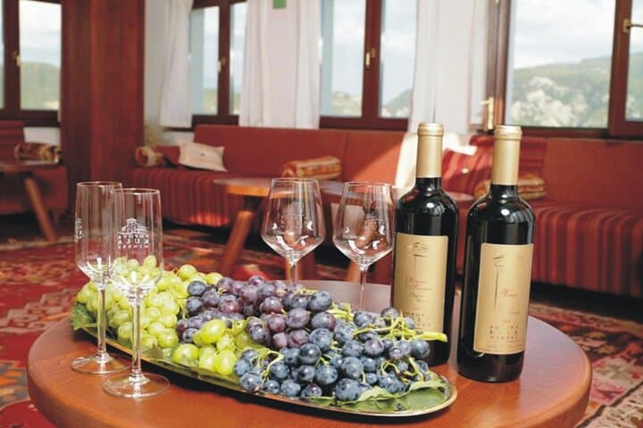 Private Tikvesh Wine Region Tour from Skopje — Vodno, Stobi & Wine Tasting