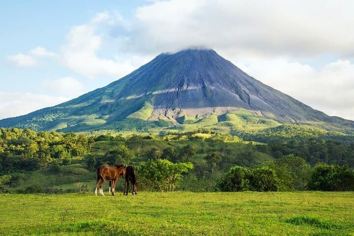 Horseback Riding at Arenal Volcano Foothills — Lagoon Crater & Arenal Viewpoint photo 3