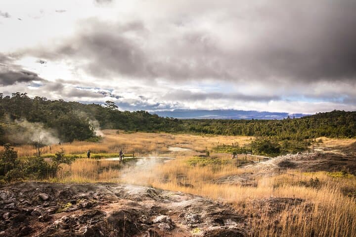 Evening Volcano Explorer from Kona: Kona Coffee, Punalu'u Black Sand & Hawaii Volcanoes photo 4
