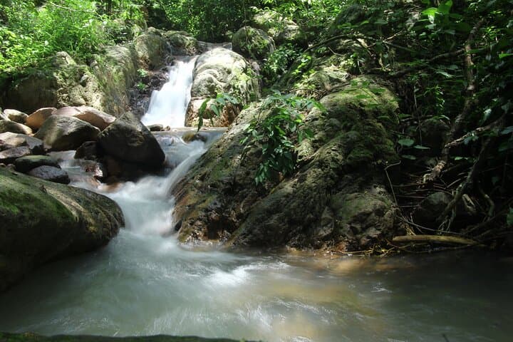 Puerto Vallarta River Hike to Hidden Waterfalls and Tequila Tasting photo 2