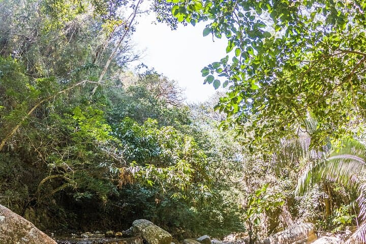 Puerto Vallarta River Hike to Hidden Waterfalls and Tequila Tasting photo 4