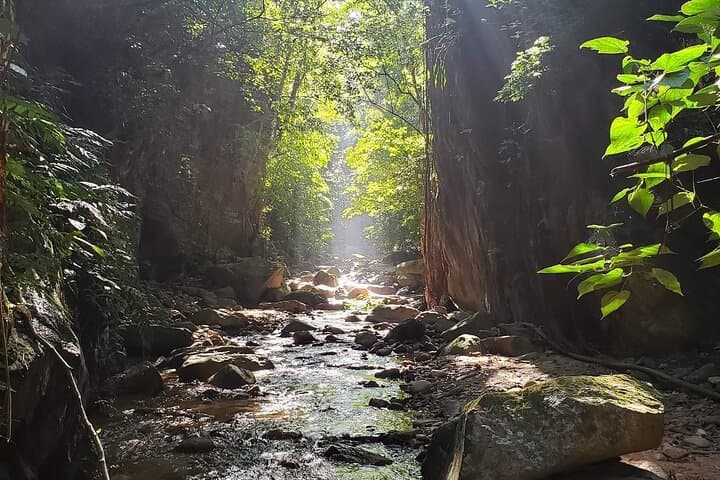 Puerto Vallarta River Hike to Hidden Waterfalls and Tequila Tasting photo 5