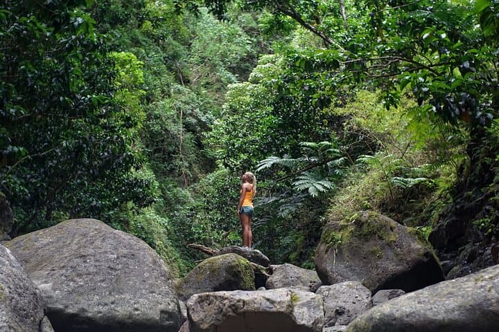Puerto Vallarta River Hike to Hidden Waterfalls and Tequila Tasting