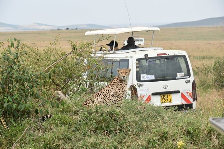 Overnight Tsavo East Safari from Mombasa — Voi Safari Lodge Experience photo 2