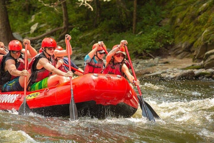 Lower Pigeon River Rafting Trip — Family-Friendly 5.5-Mile Float Near Pigeon Forge photo 3