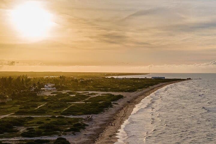 Sisal Beach Private Boat & Kayak Tour from Mérida photo 5