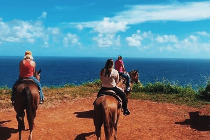 Maui Horseback Adventure with Hawaiian Cowboys at Circle M Ranch