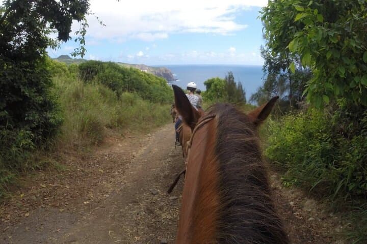 Maui Horseback Adventure with Hawaiian Cowboys at Circle M Ranch photo 6