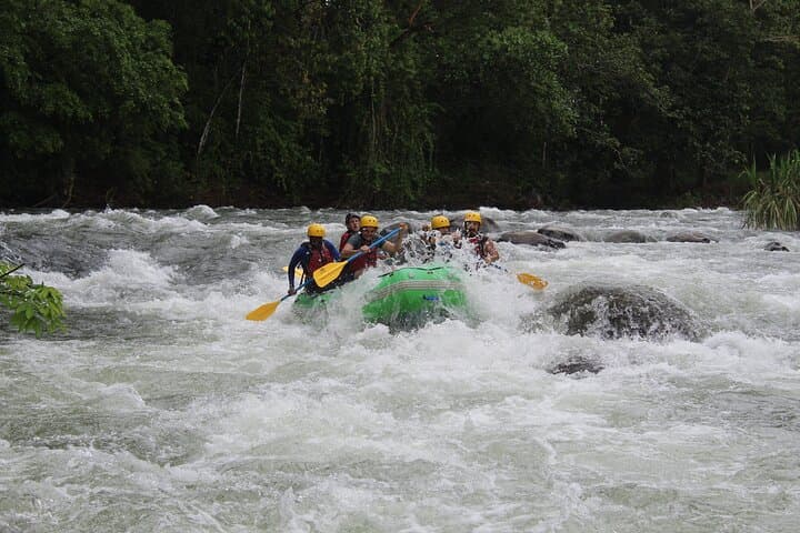 Pacuare River Rafting from La Fortuna — Class III Whitewater & Wildlife Experience photo 5