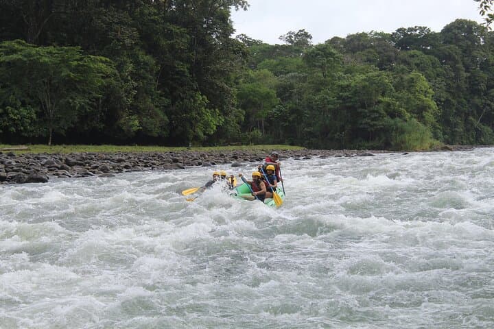Pacuare River Rafting from La Fortuna — Class III Whitewater & Wildlife Experience photo 6
