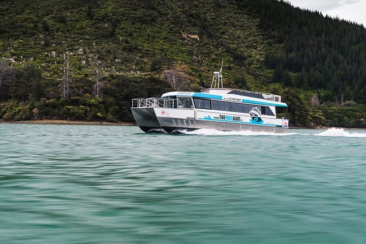 Marlborough Sounds Mail Boat: Full-Day Havelock Cruise to Remote Bays photo 2