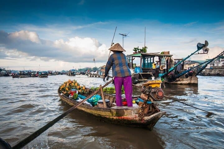 Private Luxury Mekong Delta Day Trip from Ho Chi Minh City photo 5
