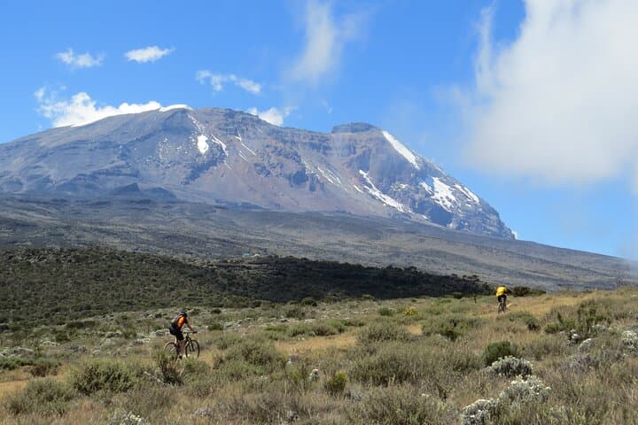 Lemosho Route Mt Kilimanjaro: 8-Day Guided Ascent to Uhuru Peak photo 4