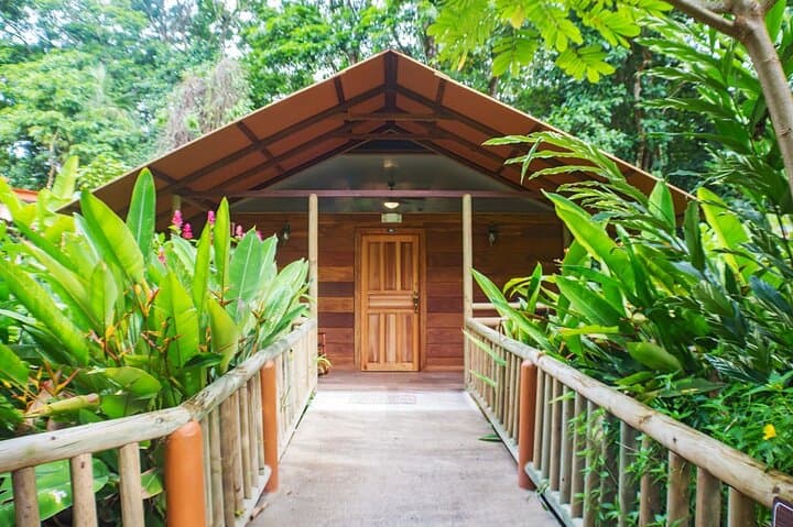 Tortuguero Canals & Turtle Nesting: 1 Night, 2 Day All-Inclusive Nature Escape photo 5