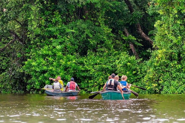 Tortuguero Canals & Turtle Nesting: 1 Night, 2 Day All-Inclusive Nature Escape