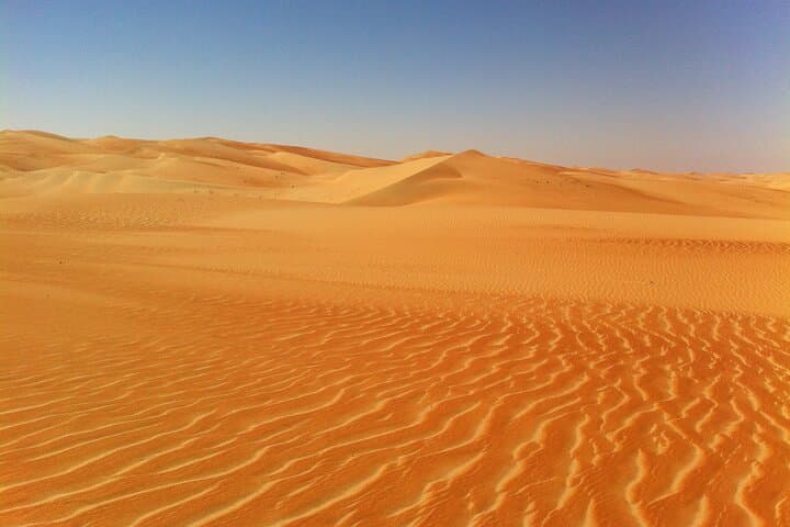 Liwa Overnight Desert Safari: Dune Drives, Camel Farms & Stargazing photo 4
