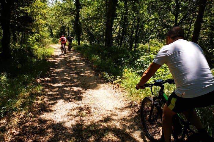 Orvieto E‑Bike Wine Tour: Tuff Cliffs, Caves & Two Family Wineries photo 5
