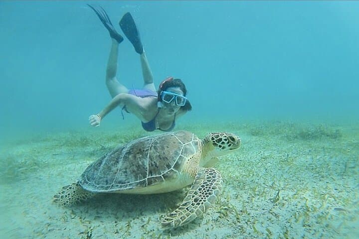 Culebra Flamenco Beach Full-Day Snorkel Tour with Lunch from Fajardo photo 3